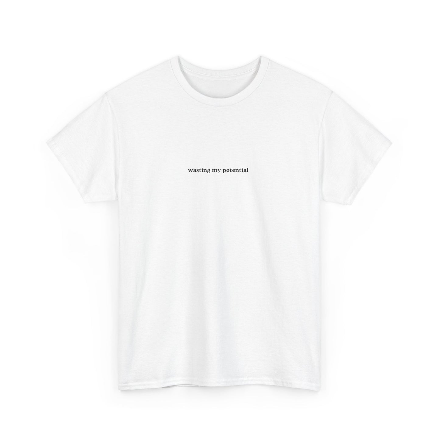 Aa | wasting my potential graphic slogan boyfriend tee | jersey short sleeve oversized original cotton