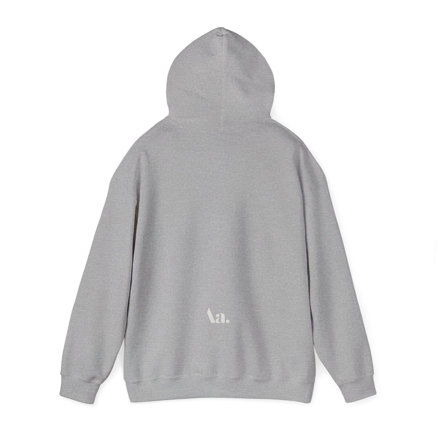 Aa | antisocial graphic slogan boyfriend hoodie | heavy blend oversized original cotton unisex