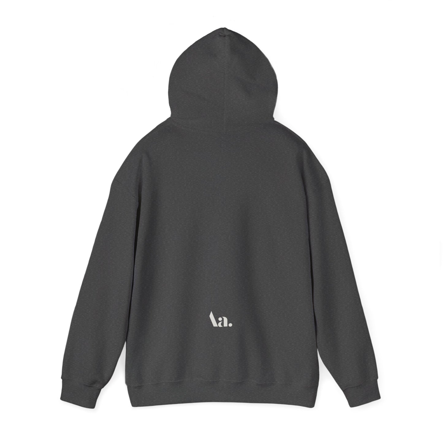 Aa | antisocial graphic slogan boyfriend hoodie | heavy blend oversized original cotton unisex