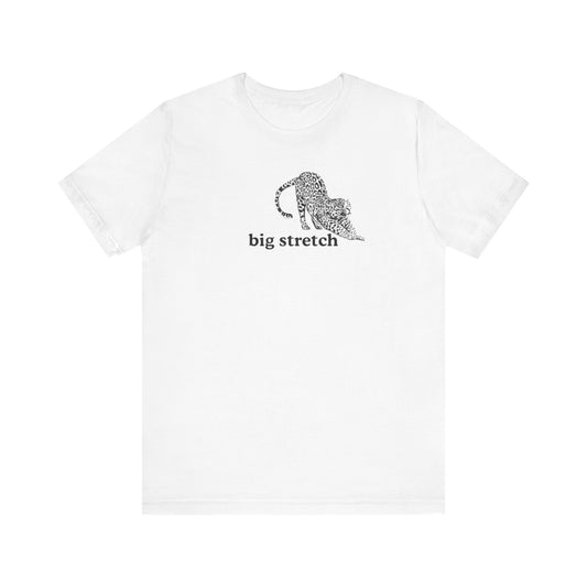 Aa original big stretch cheetah graphic slogan jersey short sleeve boyfriend tee
